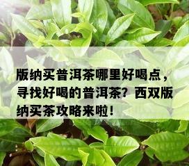 版纳买普洱茶哪里好喝点，寻找好喝的普洱茶？西双版纳买茶攻略来啦！