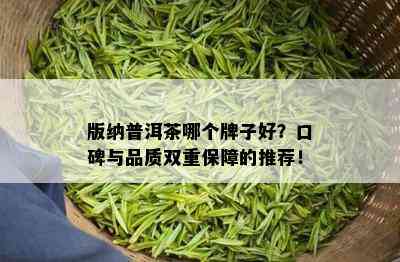 版纳普洱茶哪个牌子好？口碑与品质双重保障的推荐！