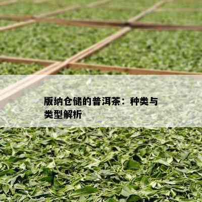 版纳仓储的普洱茶：种类与类型解析