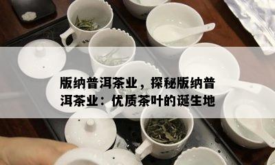 版纳普洱茶业，探秘版纳普洱茶业：优质茶叶的诞生地