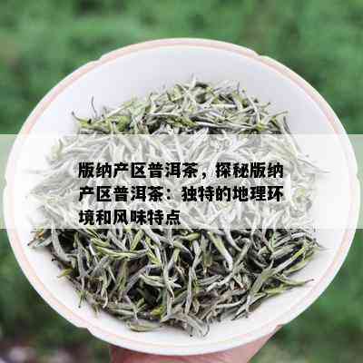 版纳产区普洱茶，探秘版纳产区普洱茶：独特的地理环境和风味特点