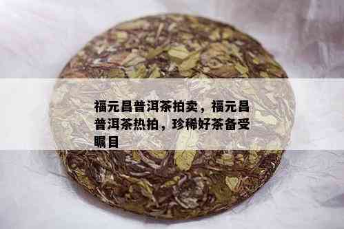 福元昌普洱茶拍卖，福元昌普洱茶热拍，珍稀好茶备受瞩目