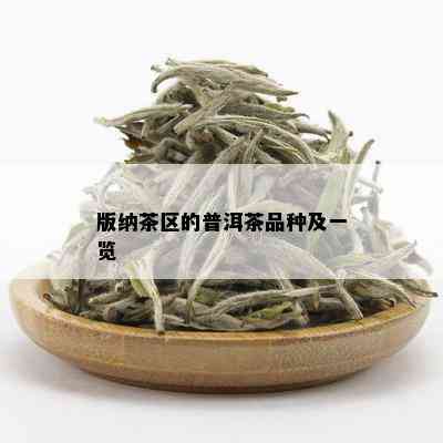 版纳茶区的普洱茶品种及一览