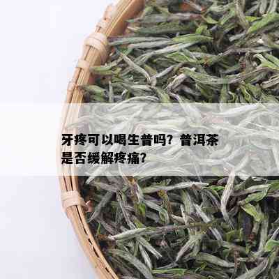 牙疼可以喝生普吗？普洱茶是否缓解疼痛？