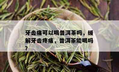 牙齿痛可以喝普洱茶吗，缓解牙齿疼痛，普洱茶能喝吗？