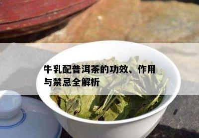 牛乳配普洱茶的功效、作用与禁忌全解析