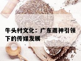 牛头村文化：广东雨神引领下的传媒发展