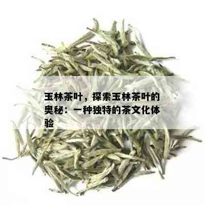 玉林茶叶，探索玉林茶叶的奥秘：一种独特的茶文化体验