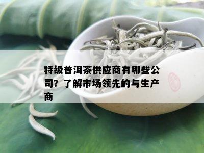 特级普洱茶供应商有哪些公司？了解市场领先的与生产商