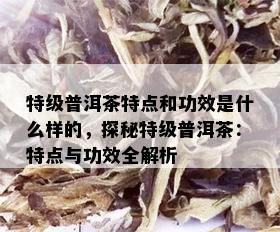 特级普洱茶特点和功效是什么样的，探秘特级普洱茶：特点与功效全解析