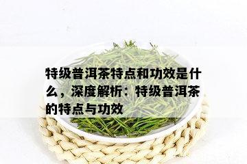 特级普洱茶特点和功效是什么，深度解析：特级普洱茶的特点与功效