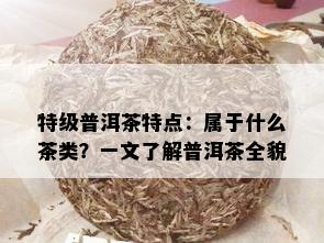 特级普洱茶特点：属于什么茶类？一文了解普洱茶全貌