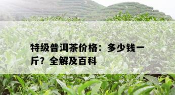 特级普洱茶价格：多少钱一斤？全解及百科