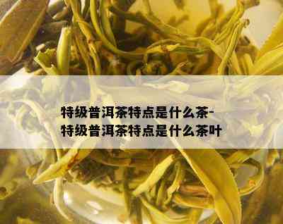 特级普洱茶特点是什么茶-特级普洱茶特点是什么茶叶