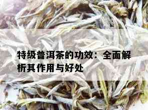 特级普洱茶的功效：全面解析其作用与好处