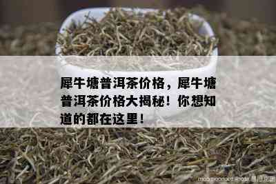 犀牛塘普洱茶价格，犀牛塘普洱茶价格大揭秘！你想知道的都在这里！