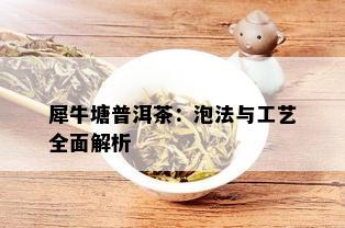 犀牛塘普洱茶：泡法与工艺全面解析