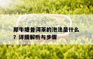 犀牛塘普洱茶的泡法是什么？详细解析与步骤