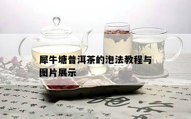 犀牛塘普洱茶的泡法教程与图片展示