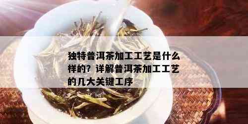 独特普洱茶加工工艺是什么样的？详解普洱茶加工工艺的几大关键工序