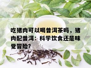 吃猪肉可以喝普洱茶吗，猪肉配普洱：科学饮食还是味觉冒险？