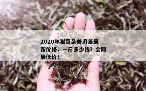 2020年猫耳朵普洱茶最新价格，一斤多少钱？全网更低价！