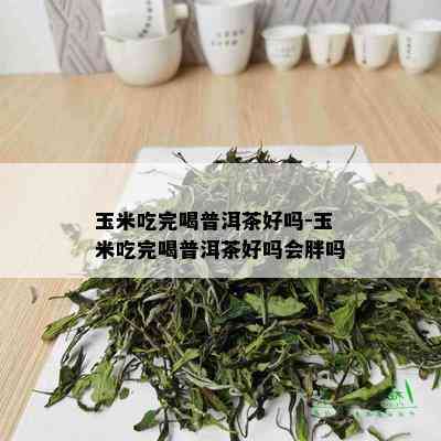 玉米吃完喝普洱茶好吗-玉米吃完喝普洱茶好吗会胖吗