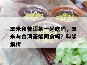 玉米和普洱茶一起吃吗，玉米与普洱茶能同食吗？科学解析