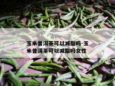 玉米普洱茶可以减脂吗-玉米普洱茶可以减脂吗女性