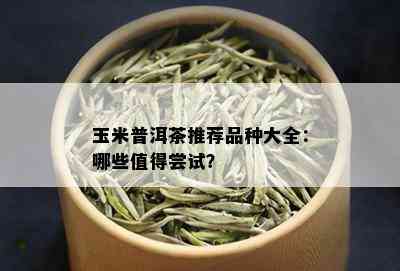 玉米普洱茶推荐品种大全：哪些值得尝试？