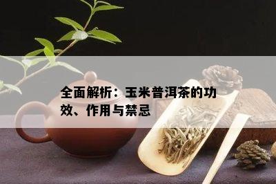 全面解析：玉米普洱茶的功效、作用与禁忌