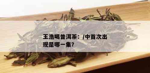 王浩喝普洱茶：/中首次出现是哪一集？