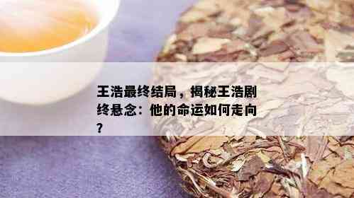 王浩最终结局，揭秘王浩剧终悬念：他的命运如何走向？