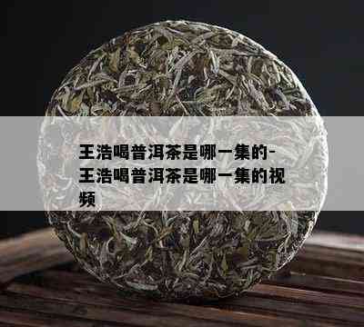 王浩喝普洱茶是哪一集的-王浩喝普洱茶是哪一集的视频