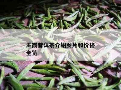 王霞普洱茶介绍图片和价格全览