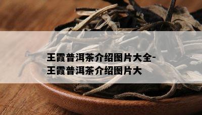 王霞普洱茶介绍图片大全-王霞普洱茶介绍图片大