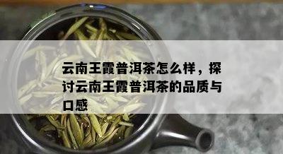 云南王霞普洱茶怎么样，探讨云南王霞普洱茶的品质与口感