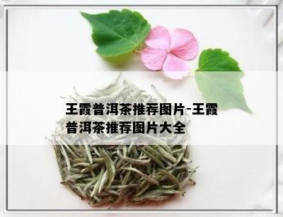 王霞普洱茶推荐图片-王霞普洱茶推荐图片大全