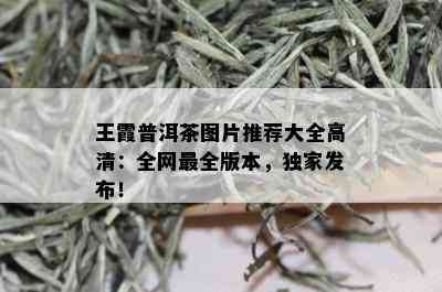 王霞普洱茶图片推荐大全高清：全网最全版本，独家发布！