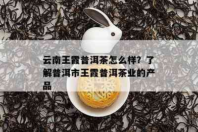 云南王霞普洱茶怎么样？了解普洱市王霞普洱茶业的产品