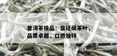 普洱茶极品：宫廷级茶叶，品质卓越，口感独特