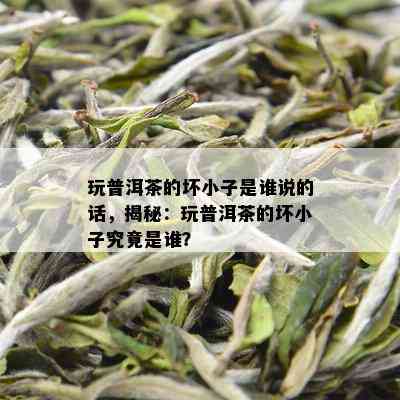 玩普洱茶的坏小子是谁说的话，揭秘：玩普洱茶的坏小子究竟是谁？