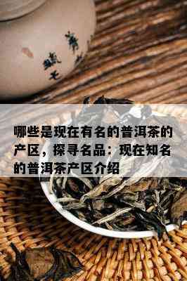 哪些是现在有名的普洱茶的产区，探寻名品：现在知名的普洱茶产区介绍