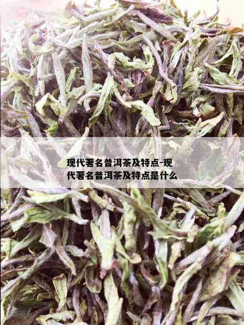 现代著名普洱茶及特点-现代著名普洱茶及特点是什么