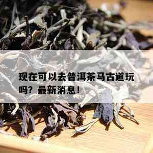 现在可以去普洱茶马古道玩吗？最新消息！