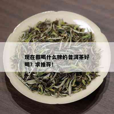 现在都喝什么牌的普洱茶好喝？求推荐！