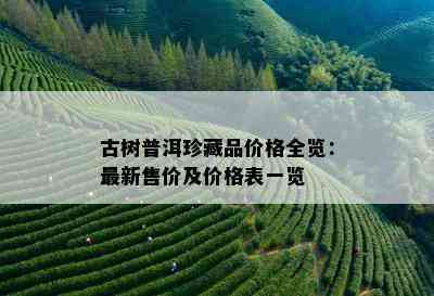 古树普洱珍藏品价格全览：最新售价及价格表一览