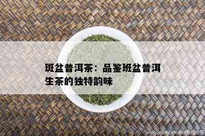 斑盆普洱茶：品鉴班盆普洱生茶的独特韵味