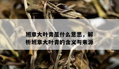 班章大叶青是什么意思，解析班章大叶青的含义与来源