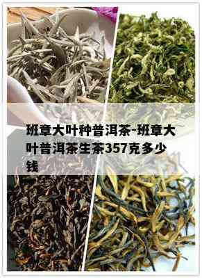 班章大叶种普洱茶-班章大叶普洱茶生茶357克多少钱